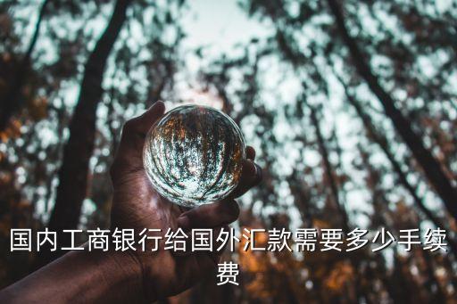 國內(nèi)工商銀行給國外匯款需要多少手續(xù)費