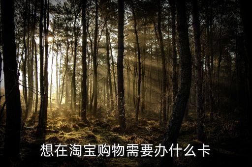 淘寶要買什么卡，在淘寶網(wǎng)上買東西需要哪種卡