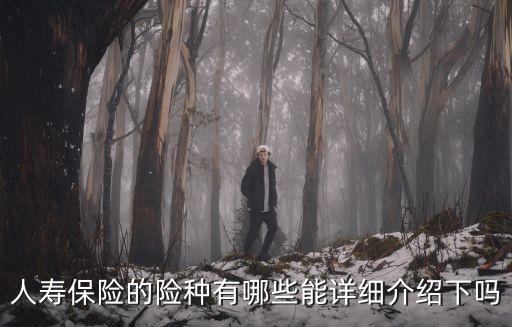 人壽保險(xiǎn)的險(xiǎn)種有哪些能詳細(xì)介紹下嗎