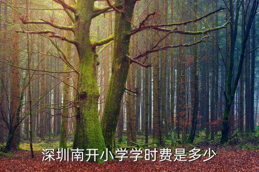 深圳南開小學學時費是多少