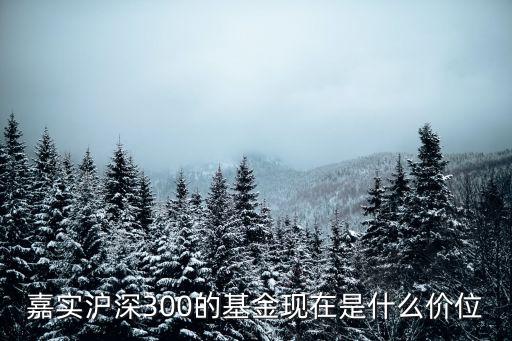 嘉實滬深300的基金現(xiàn)在是什么價位