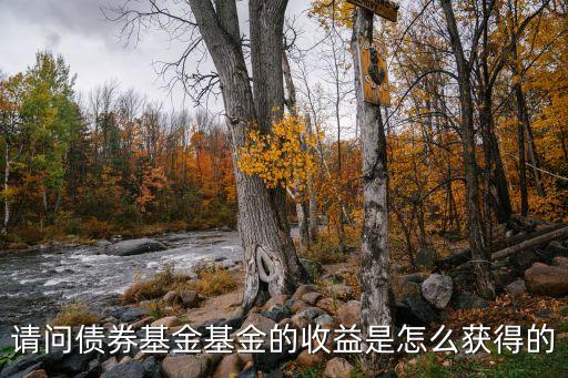 請問債券基金基金的收益是怎么獲得的