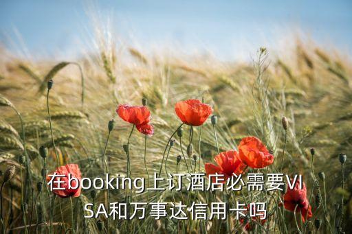 在booking上訂酒店必需要VISA和萬事達(dá)信用卡嗎