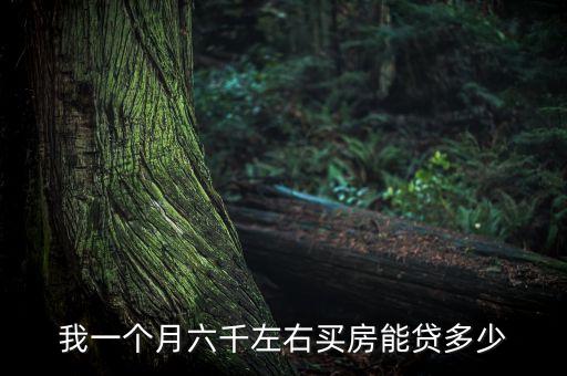我一個月六千左右買房能貸多少