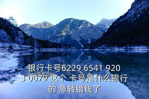 2162開頭是什么銀行，銀行卡號6229 6541 9203 0079 這個 卡號是什么銀行的 急轉(zhuǎn)錯錢了