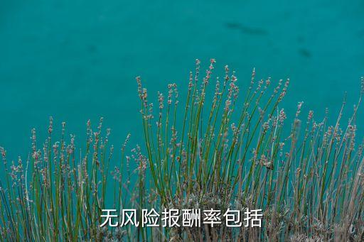 無風(fēng)險(xiǎn)報(bào)酬率包括