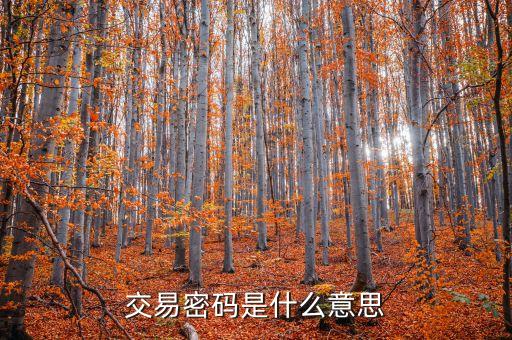 交易密碼是什么意思
