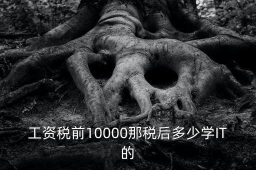 工資稅前10000那稅后多少學IT的