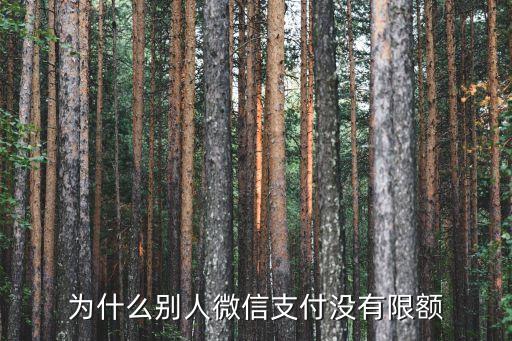 微信零錢(qián)為什么沒(méi)限額，聽(tīng)說(shuō)微信零錢(qián)支付限額取消了有沒(méi)有這回事