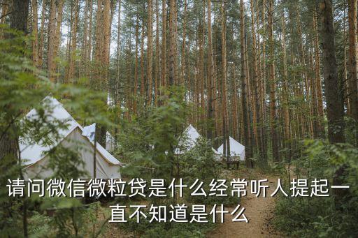 請(qǐng)問微信微粒貸是什么經(jīng)常聽人提起一直不知道是什么