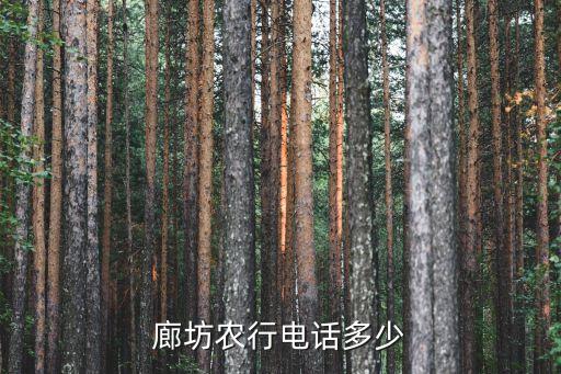 廊坊銀行電話是多少，廊坊銀行營業(yè)部的電話是多少