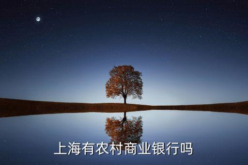 上海有農(nóng)村商業(yè)銀行嗎