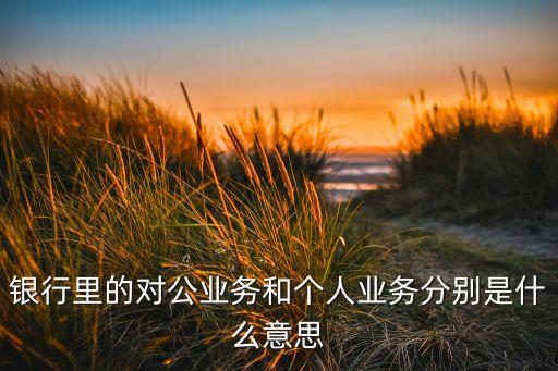 銀行里的對(duì)公業(yè)務(wù)和個(gè)人業(yè)務(wù)分別是什么意思