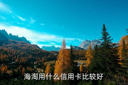 海濤用什么信用卡，海淘用哪個銀行的信用卡好比如說交行招行的什么
