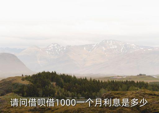 請問借唄借1000一個月利息是多少