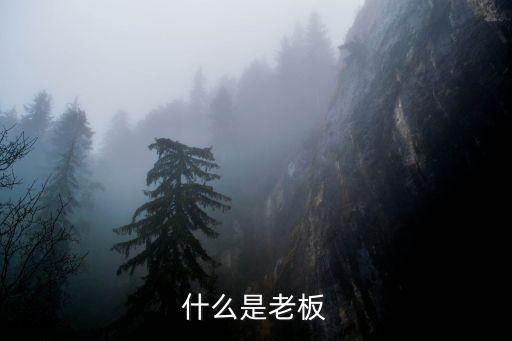 老板是什么職位，總裁CEO是什么職位