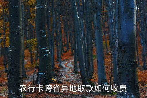 農(nóng)行卡跨省異地取款如何收費