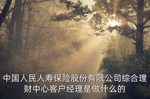 中國人民人壽保險股份有限公司綜合理財中心客戶經(jīng)理是做什么的
