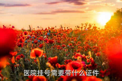 醫(yī)院掛號(hào)需要帶什么證件