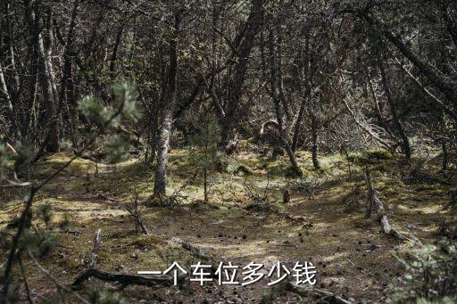 一個(gè)車(chē)位多少錢(qián)