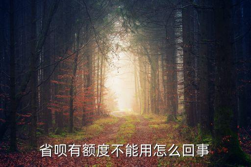 省唄有額度不能用怎么回事