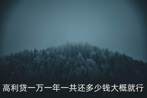 高利貸一萬一年一共還多少錢大概就行