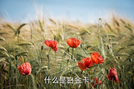 銀行卡什么是白金卡，什么是白金卡