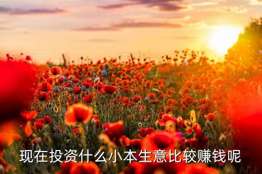 現(xiàn)在平民做什么投資好，現(xiàn)在投資什么小本生意比較賺錢呢