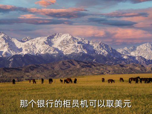 那個銀行的柜員機(jī)可以取美元