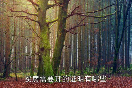 買房需要開的證明有哪些