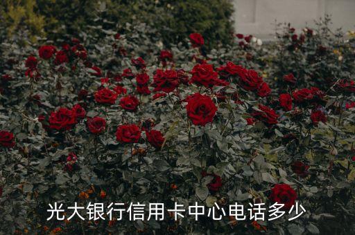光大銀信用卡客服電話是多少錢(qián)，光大銀行信用卡中心電話多少