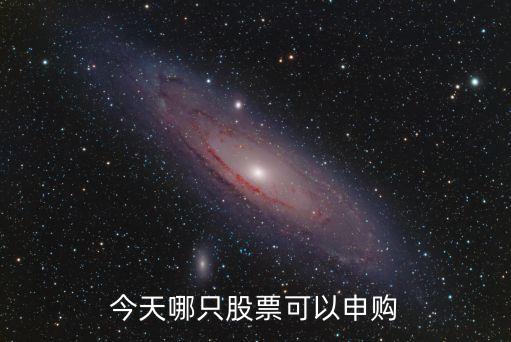 今天哪只股票可以申購