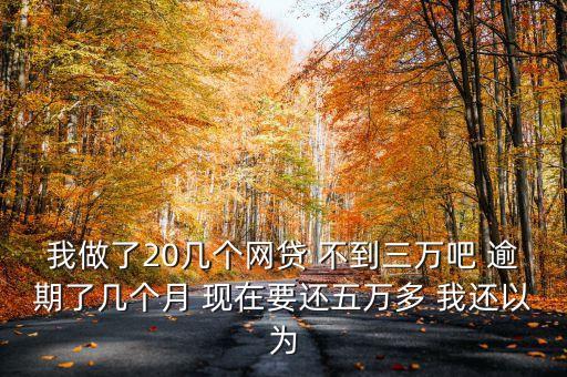 我做了20幾個(gè)網(wǎng)貸 不到三萬(wàn)吧 逾期了幾個(gè)月 現(xiàn)在要還五萬(wàn)多 我還以為