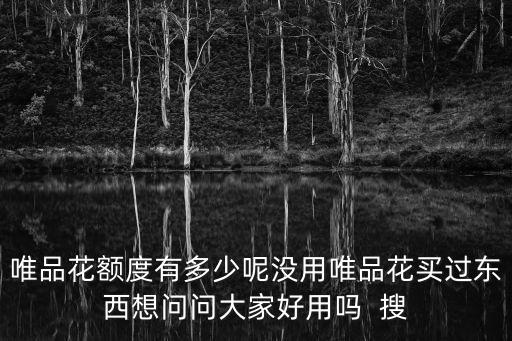 唯品花額度有多少呢沒用唯品花買過東西想問問大家好用嗎  搜