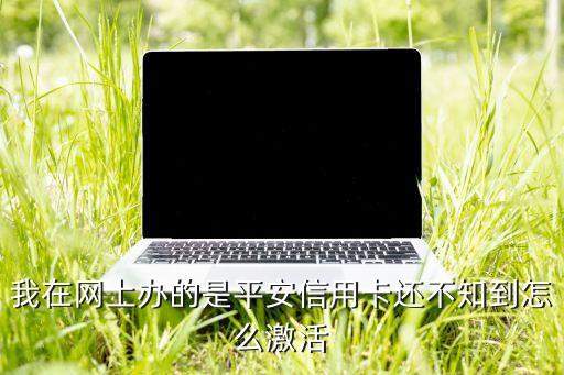 我在網(wǎng)上辦的是平安信用卡還不知到怎么激活