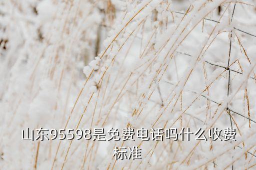 山東95598是免費(fèi)電話嗎什么收費(fèi)標(biāo)準(zhǔn)