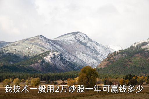 我技術(shù)一般用2萬炒股一年可贏錢多少