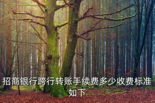 招商銀行跨行轉(zhuǎn)賬手續(xù)費(fèi)多少收費(fèi)標(biāo)準(zhǔn)如下