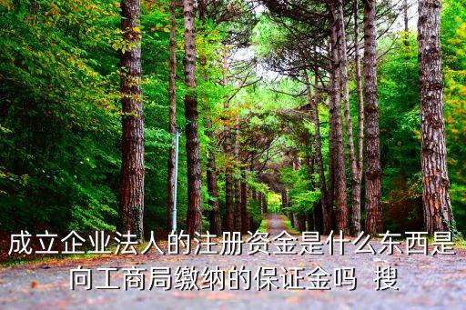 法人資本金是什么意思，法人資本集體資本個(gè)人資本他們的定義各是什么