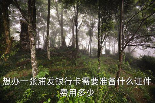 想辦一張浦發(fā)銀行卡需要準(zhǔn)備什么證件費用多少