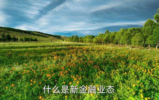 什么是新金融業(yè)態(tài)