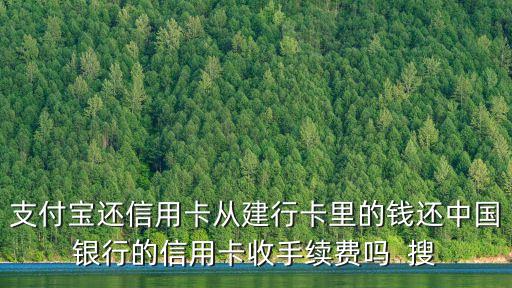 支付寶還信用卡從建行卡里的錢還中國銀行的信用卡收手續(xù)費(fèi)嗎  搜