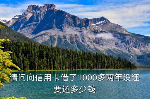 欠銀行1000 2年沒還利息多少，請問向信用卡借了1000多兩年沒還要還多少錢