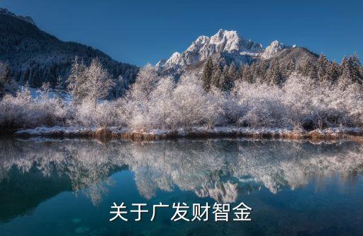 關(guān)于廣發(fā)財(cái)智金