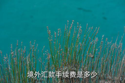 境外匯款手續(xù)費(fèi)是多少