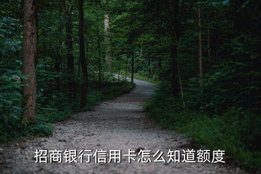 招商銀行信用卡怎么知道額度