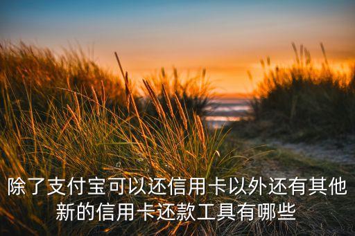 除了支付寶可以還信用卡以外還有其他新的信用卡還款工具有哪些