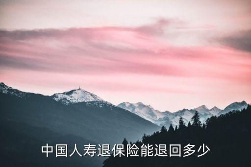 人壽險(xiǎn)退保能退多少錢，中國人壽退保險(xiǎn)能退回多少