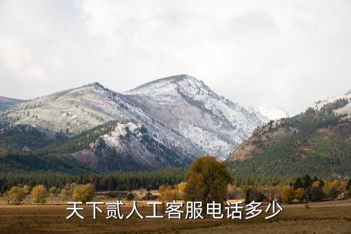 天下貳人工客服電話多少
