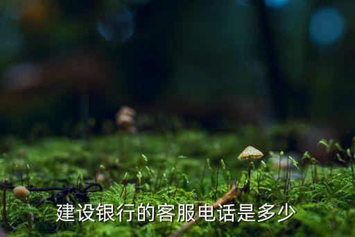 建設(shè)銀行的客服電話是多少